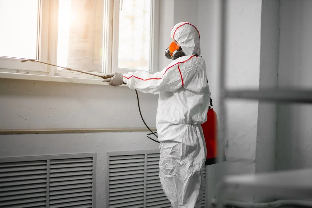Professional mold remediation services in Holt, MI